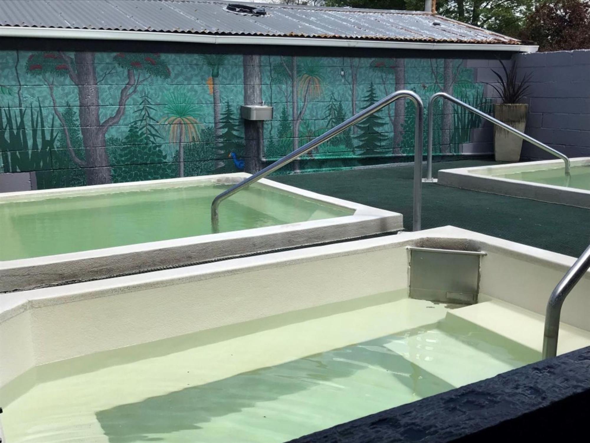 Rotorua Thermal Holiday Park Exterior foto